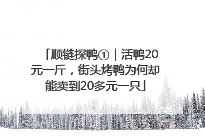 顺链探鸭①｜活鸭20元一斤，街头烤鸭为何却能卖到20多元一只