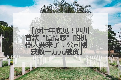 预计年底见！四川首款“懂情感”的机器人要来了，公司刚获数千万元融资