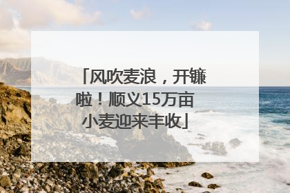 风吹麦浪，开镰啦！顺义15万亩小麦迎来丰收