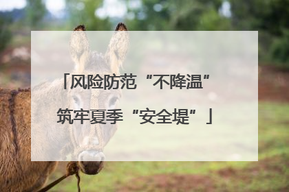 风险防范“不降温” 筑牢夏季“安全堤”