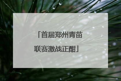 首届郑州青苗联赛激战正酣