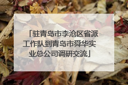 驻青岛市李沧区省派工作队到青岛市舜华实业总公司调研交流