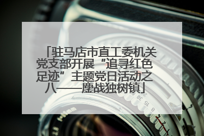 驻马店市直工委机关党支部开展“追寻红色足迹”主题党日活动之八——鏖战独树镇