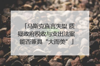 马斯克直言失望 质疑政府税收与支出法案能否兼具“大而美”