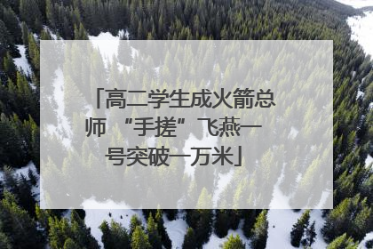 高二学生成火箭总师 “手搓”飞燕一号突破一万米