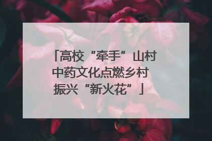 高校“牵手”山村 中药文化点燃乡村振兴“新火花”