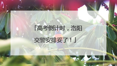 高考倒计时，洛阳交警安排妥了！