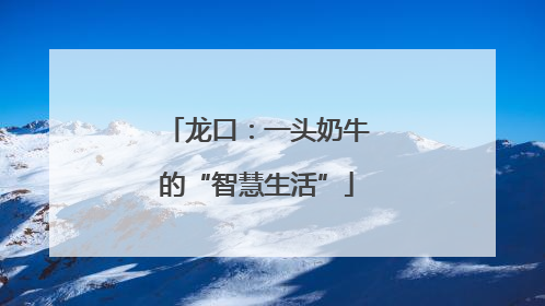 龙口：一头奶牛的“智慧生活”