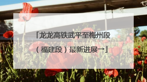 龙龙高铁武平至梅州段（福建段）最新进展→