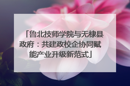 鲁北技师学院与无棣县政府：共建政校企协同赋能产业升级新范式