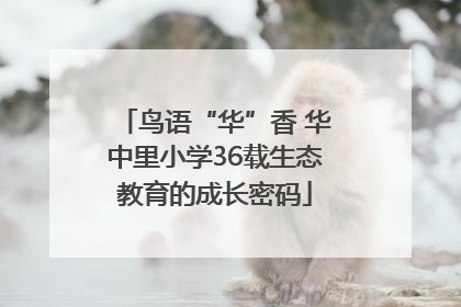 鸟语“华”香 华中里小学36载生态教育的成长密码