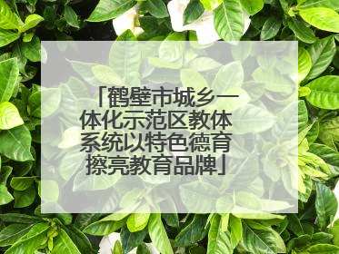 鹤壁市城乡一体化示范区教体系统以特色德育擦亮教育品牌