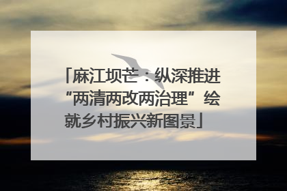 麻江坝芒：纵深推进“两清两改两治理”绘就乡村振兴新图景