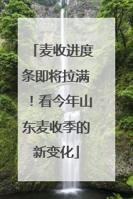 麦收进度条即将拉满！看今年山东麦收季的新变化