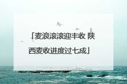 麦浪滚滚迎丰收 陕西麦收进度过七成