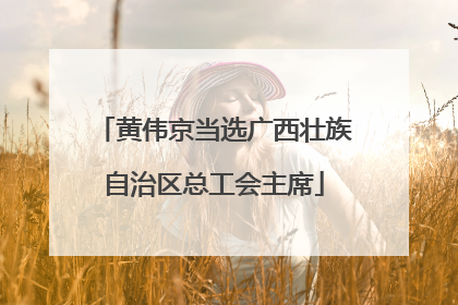 黄伟京当选广西壮族自治区总工会主席