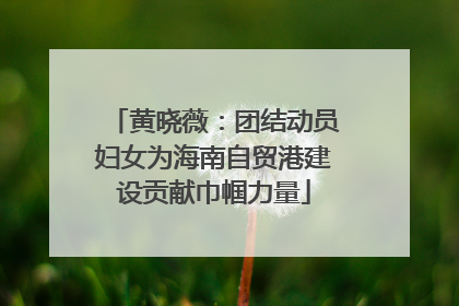 黄晓薇：团结动员妇女为海南自贸港建设贡献巾帼力量