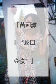 黄河滩上“龙口夺食”