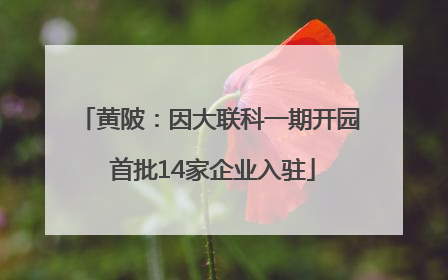 黄陂：因大联科一期开园 首批14家企业入驻