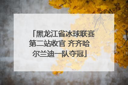 黑龙江省冰球联赛第二站收官 齐齐哈尔兰迪一队夺冠