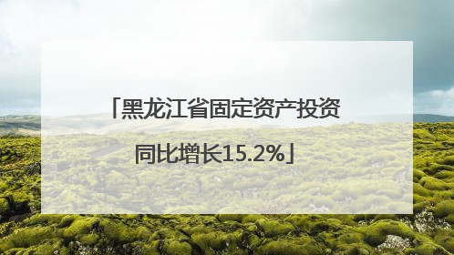 黑龙江省固定资产投资同比增长15.2%