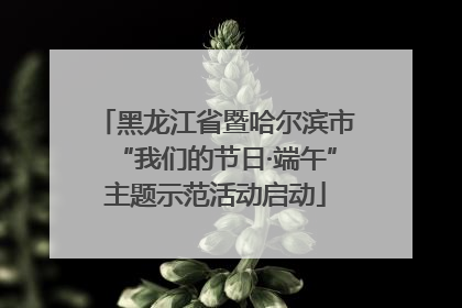 黑龙江省暨哈尔滨市“我们的节日·端午”主题示范活动启动