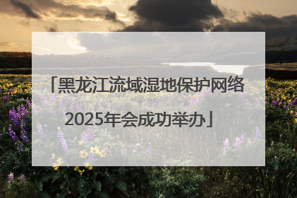 黑龙江流域湿地保护网络2025年会成功举办