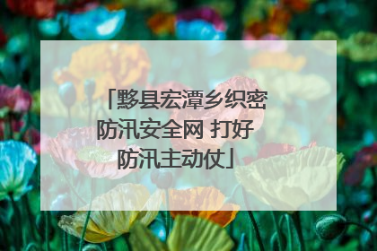 黟县宏潭乡织密防汛安全网 打好防汛主动仗