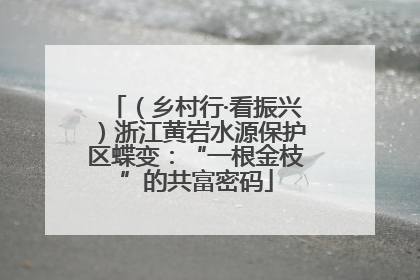 （乡村行·看振兴）浙江黄岩水源保护区蝶变：“一根金枝”的共富密码