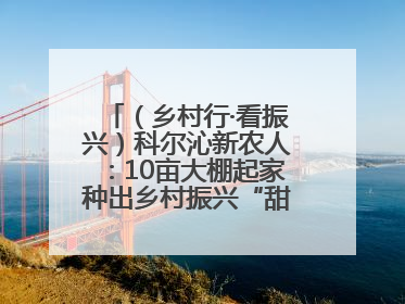 （乡村行·看振兴）科尔沁新农人：10亩大棚起家种出乡村振兴“甜蜜果”