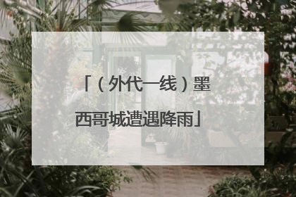 （外代一线）墨西哥城遭遇降雨