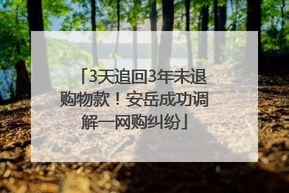 3天追回3年未退购物款！安岳成功调解一网购纠纷