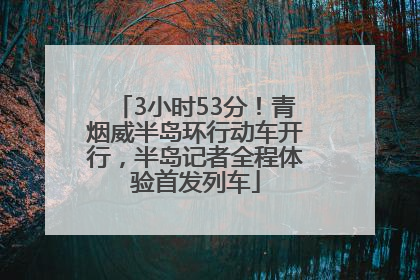 3小时53分！青烟威半岛环行动车开行，半岛记者全程体验首发列车