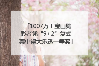 1007万！宝山购彩者凭“9+2”复式票中得大乐透一等奖