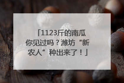1123斤的南瓜你见过吗？潍坊“新农人”种出来了！