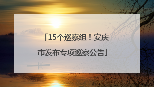 15个巡察组！安庆市发布专项巡察公告
