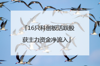 16只科创板活跃股获主力资金净流入