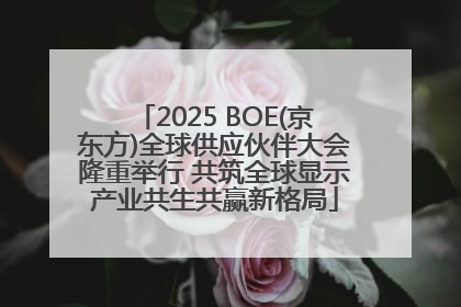 2025 BOE(京东方)全球供应伙伴大会隆重举行 共筑全球显示产业共生共赢新格局
