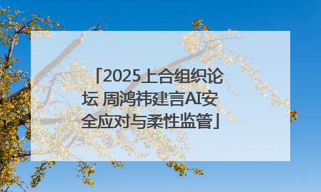 2025上合组织论坛 周鸿祎建言AI安全应对与柔性监管