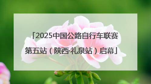 2025中国公路自行车联赛第五站（陕西·礼泉站）启幕