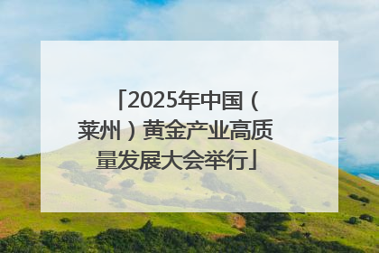 2025年中国（莱州）黄金产业高质量发展大会举行