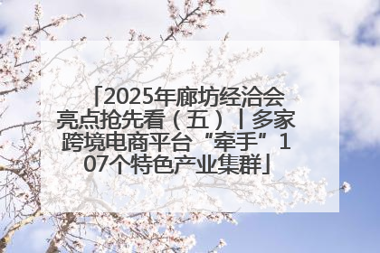 2025年廊坊经洽会亮点抢先看（五）丨多家跨境电商平台“牵手”107个特色产业集群