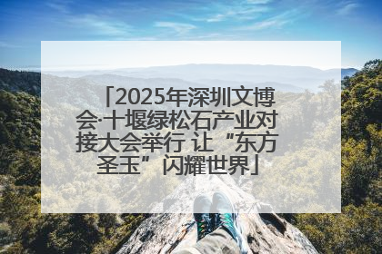 2025年深圳文博会·十堰绿松石产业对接大会举行 让“东方圣玉”闪耀世界