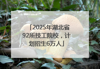 2025年湖北省92所技工院校，计划招生6万人