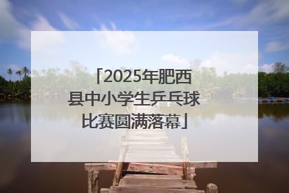 2025年肥西县中小学生乒乓球比赛圆满落幕