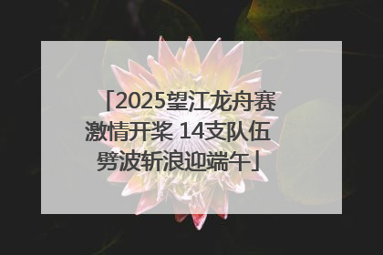 2025望江龙舟赛激情开桨 14支队伍劈波斩浪迎端午