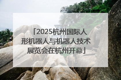 2025杭州国际人形机器人与机器人技术展览会在杭州开幕