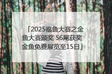 2025福鱼大赛之金鱼大赛颁奖 56尾获奖金鱼免费展览至15日