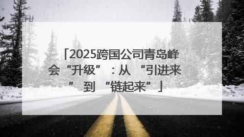 2025跨国公司青岛峰会“升级”：从 “引进来” 到 “链起来”