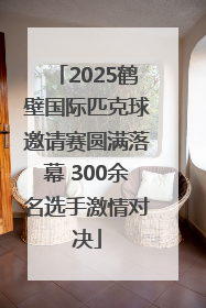 2025鹤壁国际匹克球邀请赛圆满落幕 300余名选手激情对决